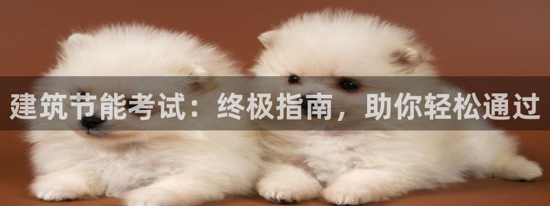 e尊体育：建筑节能考试：终极指南，助你轻松通过