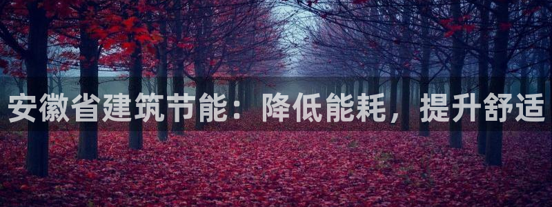 e尊国际平台：安徽省建筑节能：降低能耗，提升舒适