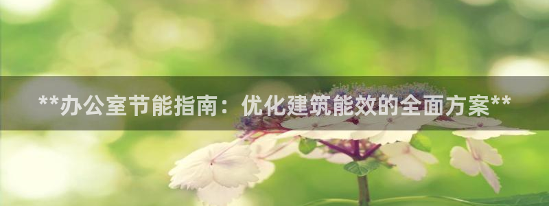 尊亿游戏国际官网：**办公室节能指南：优化建筑能效的全面方案**