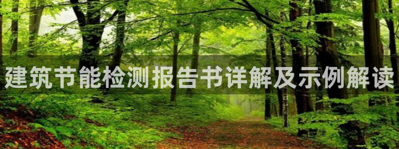 E尊国际：建筑节能检测报告书详解及示例解读