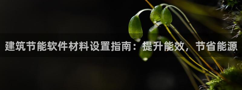 e尊国际官网·网址：建筑节能软件材料设置指南：提升能效，节省能源