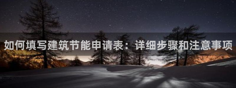 e尊国际客服：如何填写建筑节能申请表：详细步骤和注意事项