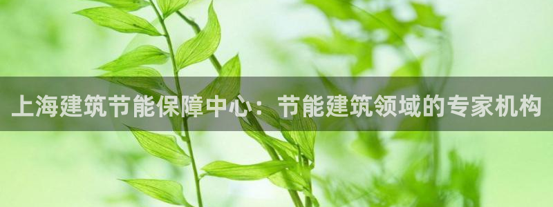 尊亿游戏国际官网：上海建筑节能保障中心：节能建筑领域的专家机构