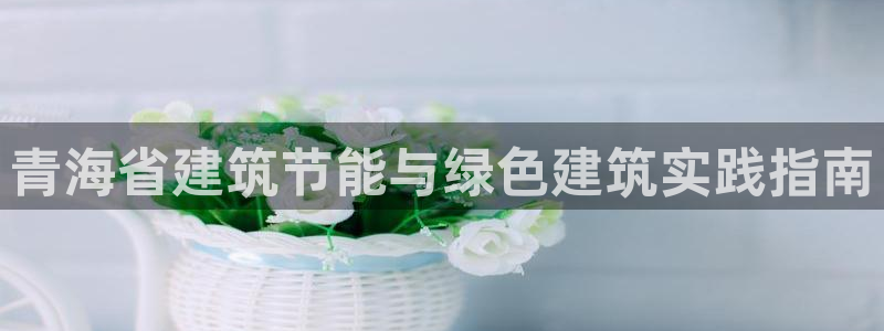 e尊国际网址：青海省建筑节能与绿色建筑实践指南
