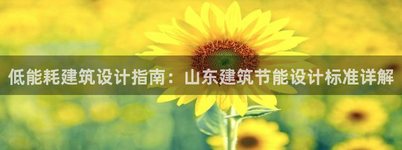 e尊国际客户端下载：低能耗建筑设计指南：山东建筑节能设计标准详解