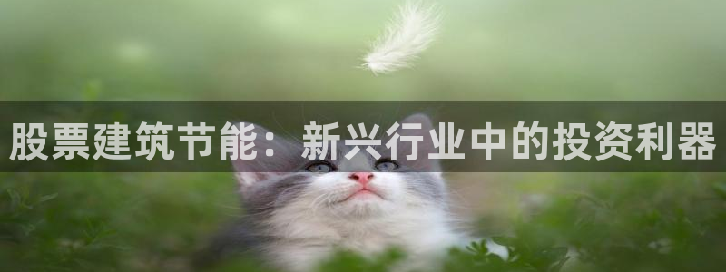 e尊国际-可可计划：股票建筑节能：新兴行业中的投资利器
