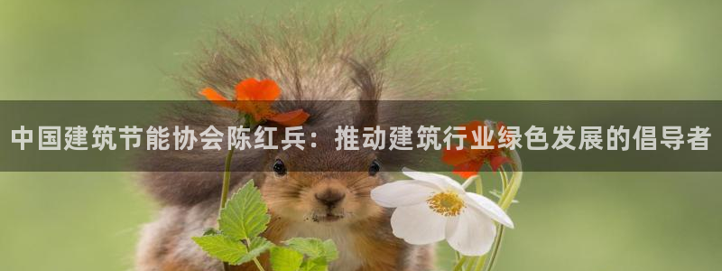 e尊国际官网：中国建筑节能协会陈红兵：推动建筑行业绿色发展的倡导者