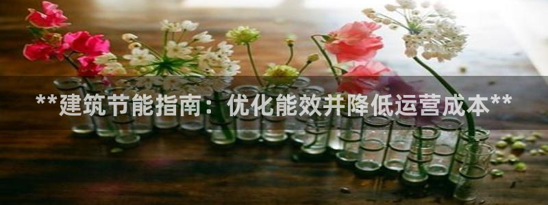 e尊国际客户端：**建筑节能指南：优化能效并降低运营成本**