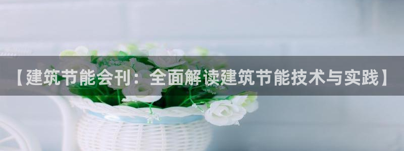 e尊国际娱乐官网地址：【建筑节能会刊：全面解读建筑节能技术与实践】