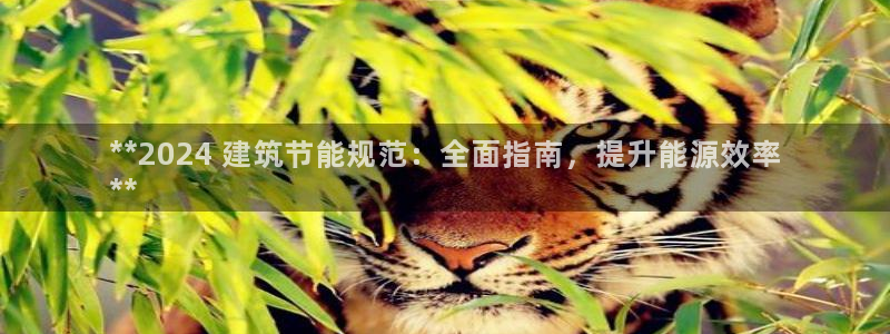 e尊国际网址：**2024 建筑节能规范：全面指南，提升能源效率
**