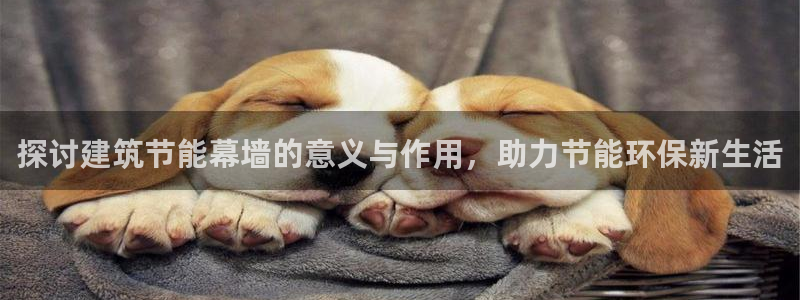 谁知道e尊国际的网址：探讨建筑节能幕墙的意义与作用，助力节能环保新生活