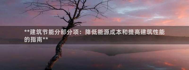 E尊国际网站：**建筑节能分部分项：降低能源成本和提高建筑性能
的指南**