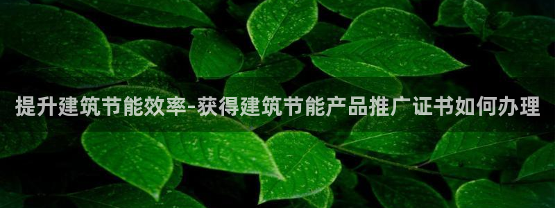 e尊国际可靠吗：提升建筑节能效率-获得建筑节能产品推广证书如何办理