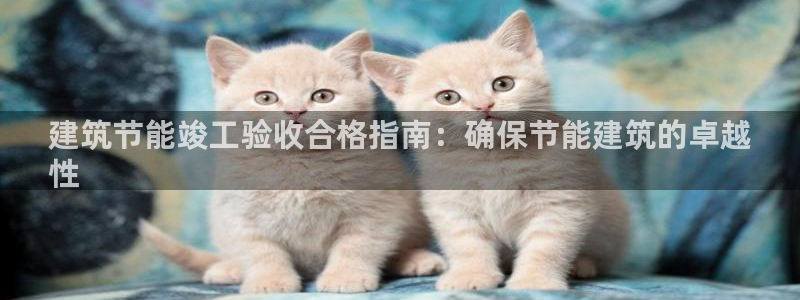 e尊国际官方网站：建筑节能竣工验收合格指南：确保节能建筑的卓越
性