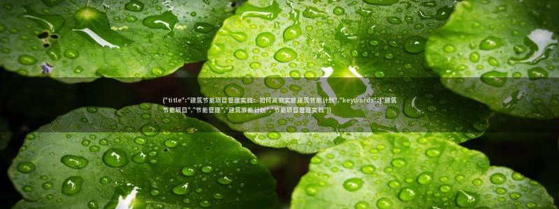 e尊国际的手机登录网站：{\
