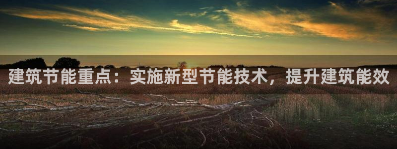 e尊国际官网：建筑节能重点：实施新型节能技术，提升建筑能效