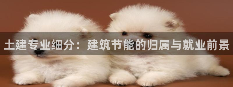 e尊国际官网：土建专业细分：建筑节能的归属与就业前景