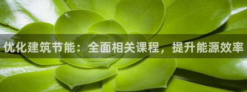 e尊国际app：优化建筑节能：全面相关课程，提升能源效率