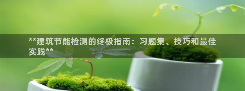 谁知道e尊国际的网址：**建筑节能检测的终极指南：习题集、技巧和最佳
实践**