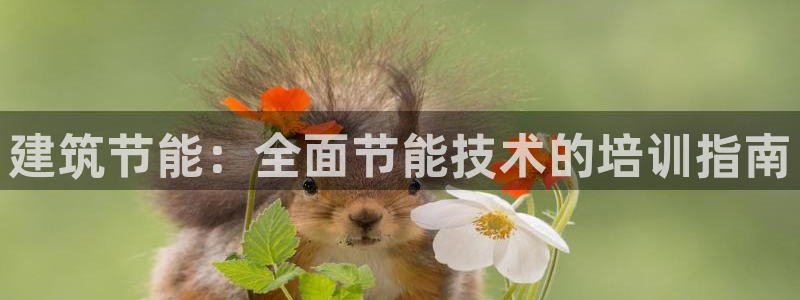 e尊国际7779：建筑节能：全面节能技术的培训指南