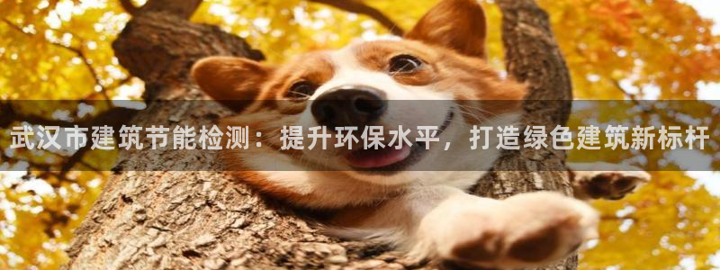 e尊国际平台：武汉市建筑节能检测：提升环保水平，打造绿色建筑新标杆