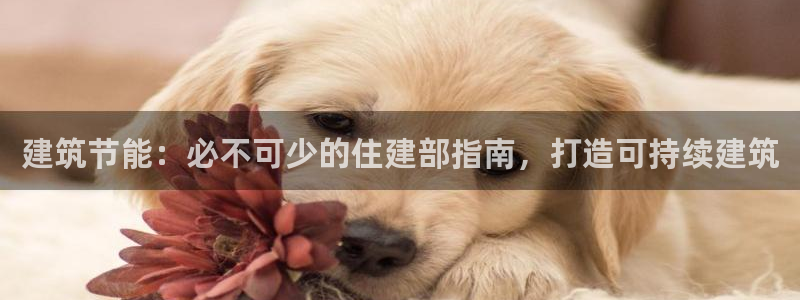E尊国际网站：建筑节能：必不可少的住建部指南，打造可持续建筑