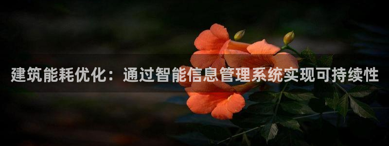 e尊国际-e尊国际官网：建筑能耗优化：通过智能信息管理系统实现可持续性