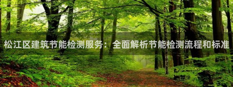 e尊国际平台：松江区建筑节能检测服务：全面解析节能检测流程和标准