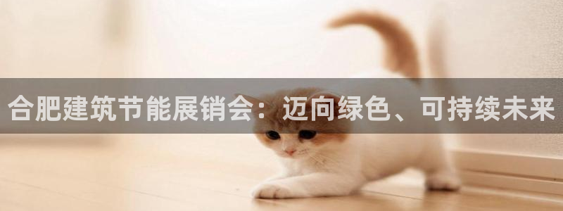 谁知道e尊国际的网址：合肥建筑节能展销会：迈向绿色、可持续未来