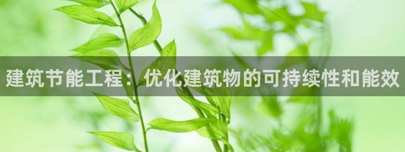 e尊国际地址：建筑节能工程：优化建筑物的可持续性和能效