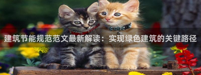 e尊官网：建筑节能规范范文最新解读：实现绿色建筑的关键路径
