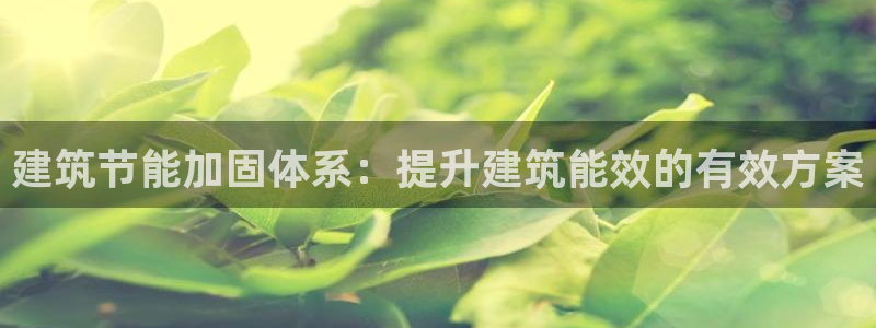 谁知道e尊国际的网址：建筑节能加固体系：提升建筑能效的有效方案