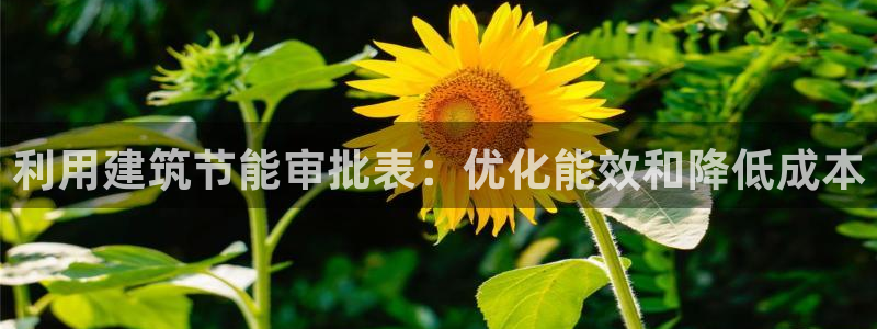 e尊国际官网：利用建筑节能审批表：优化能效和降低成本