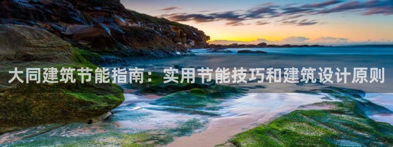 e尊国际是干什么的：大同建筑节能指南：实用节能技巧和建筑设计原则