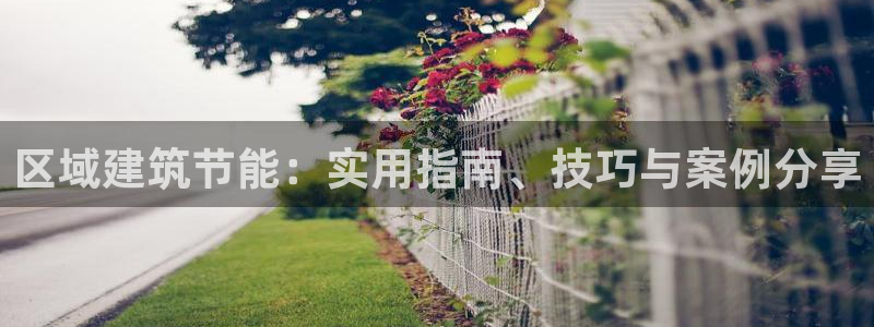 e尊国际官网：区域建筑节能：实用指南、技巧与案例分享