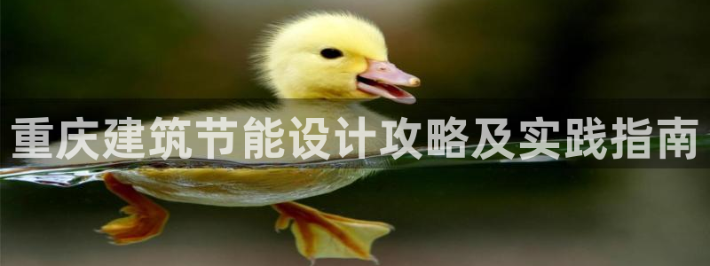 e尊国际7779：重庆建筑节能设计攻略及实践指南