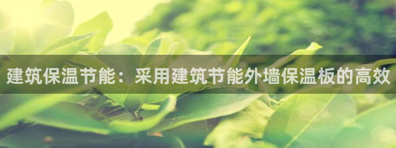 e尊国际-e尊国际官网：建筑保温节能：采用建筑节能外墙保温板的高效
