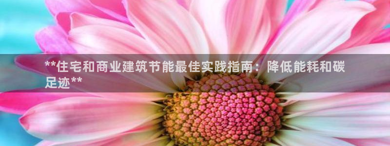 e尊国际平台：**住宅和商业建筑节能最佳实践指南：降低能耗和碳
足迹**