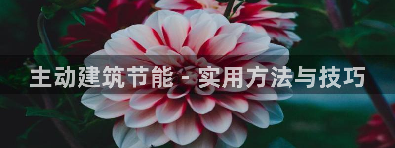 e尊国际的手机登录网站：主动建筑节能 - 实用方法与技巧