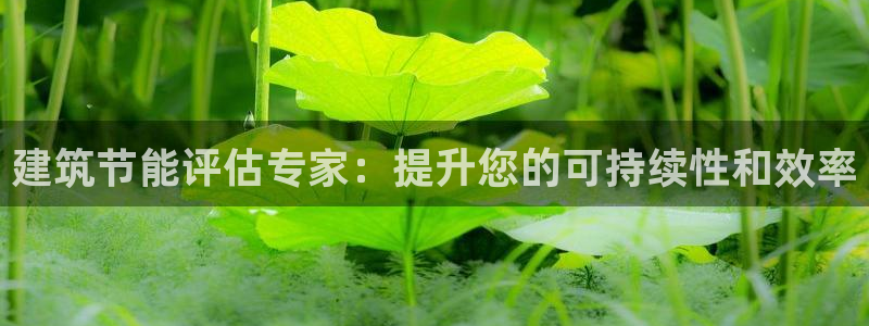 e尊国际娱乐官网地址：建筑节能评估专家：提升您的可持续性和效率
