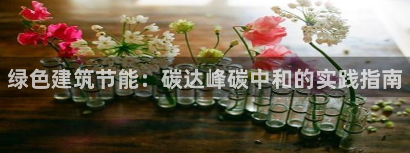 e尊国际-e尊国际官网：绿色建筑节能：碳达峰碳中和的实践指南