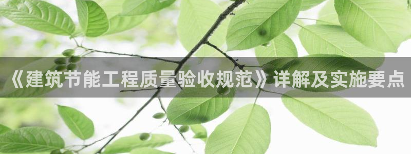 e尊国际官网：《建筑节能工程质量验收规范》详解及实施要点