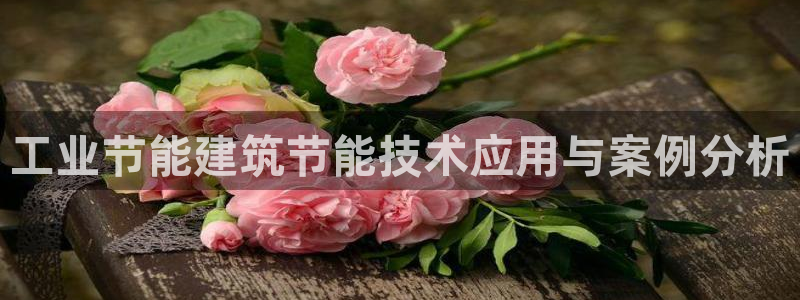e尊国际地址：工业节能建筑节能技术应用与案例分析