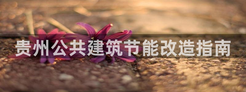 e尊国际官方网站：贵州公共建筑节能改造指南