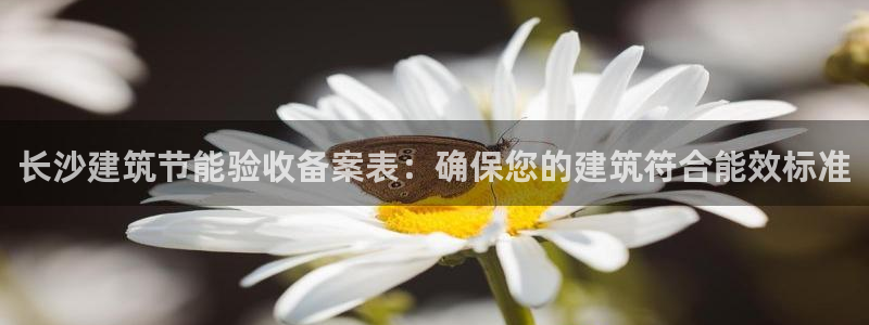 e尊国际是干什么的：长沙建筑节能验收备案表：确保您的建筑符合能效标准