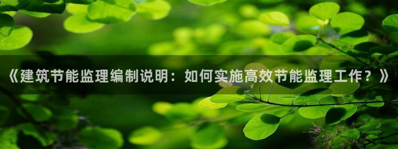 谁知道e尊国际的网址：《建筑节能监理编制说明：如何实施高效节能监理工作？》