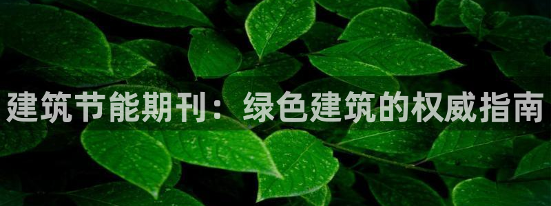 e尊国际官网：建筑节能期刊：绿色建筑的权威指南