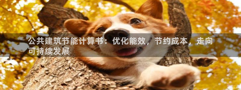 e尊国际客户端下载：公共建筑节能计算书：优化能效，节约成本，走向
可持续发展