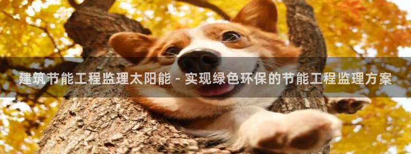 E尊国际网站：建筑节能工程监理太阳能 - 实现绿色环保的节能工程监理方案