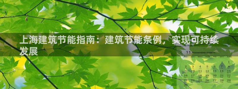 e尊国际-可可计划：上海建筑节能指南：建筑节能条例，实现可持续
发展